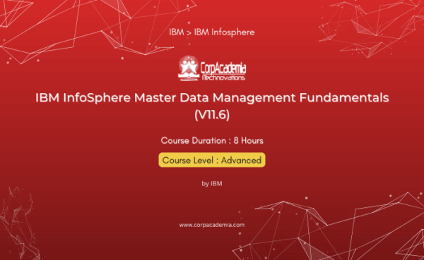 IBM InfoSphere Master Data Management Fundamentals (V11.6)