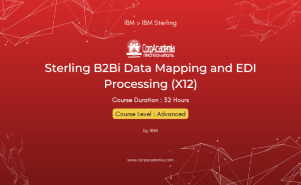 Sterling B2Bi Data Mapping and EDI Processing (X12)