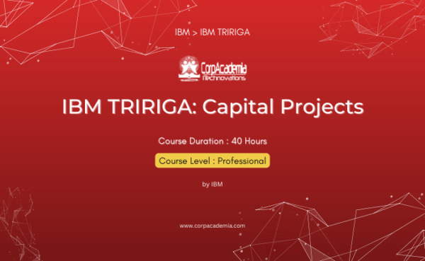 IBM TRIRIGA: Capital Projects